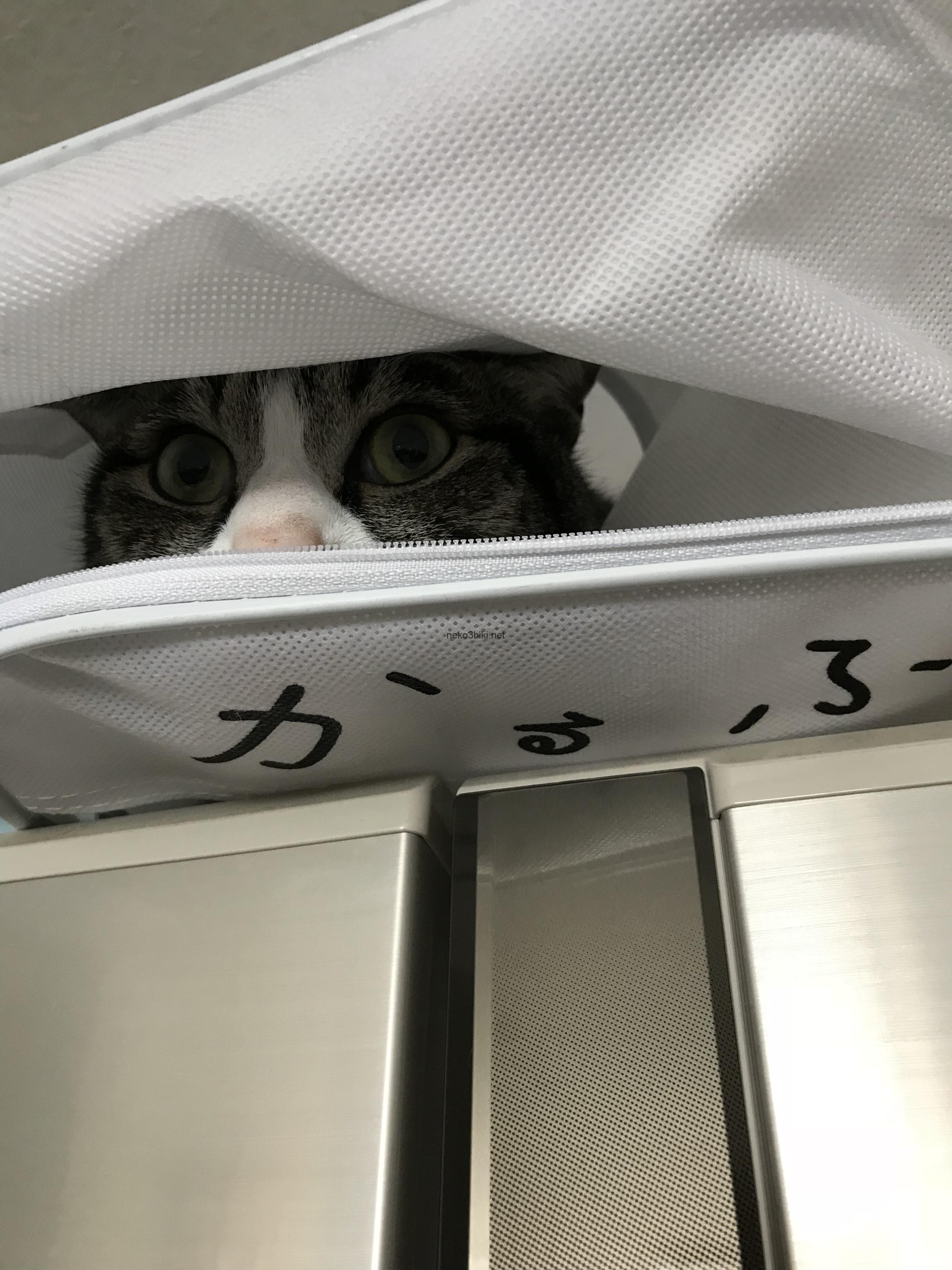 ニトリで羽毛布団を買いました